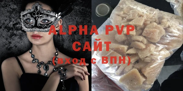 индика Арсеньев