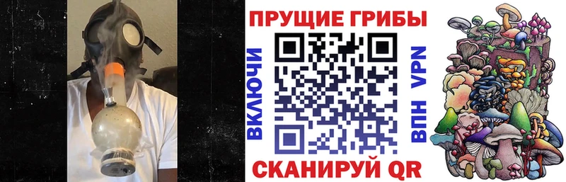 наркошоп  Калуга  Галлюциногенные грибы Psilocybine cubensis 