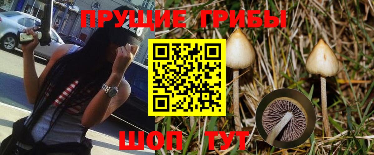 Калуга  Галлюциногенные грибы прущие грибы  Вход с VPN 